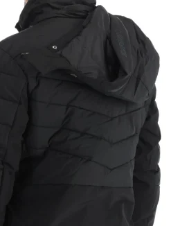 Folsom ski-jas heren